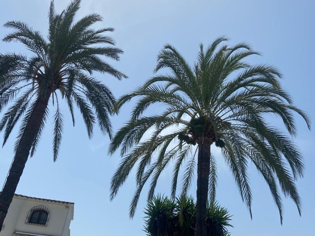 Apartamento Urb Oasis Park II Denia, Las Marinas المظهر الخارجي الصورة
